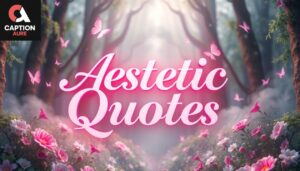 Aesthetic Quotes
